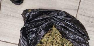 SAPS Sekhukhune District task team pounce on five suspects for dealing in dagga