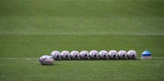 Have the French Delivered a Great World Cup from the fans behaviour during matches especially by the Springboks? Have the French Delivered a Great World Cup from the fans behaviour during matches especially by the Springboks?