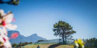 10 Reasons You Need to Enter the Cape Town Cycle Tour