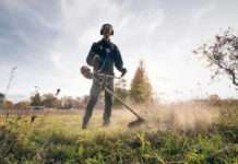 Which Brushcutter Is Best For You?