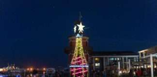 Pongrácz Tree Illuminates V&A Waterfront for Festive Celebrations