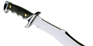 Alleged expelled learner (17) stabbed and killed a grade 10 pupil (20)