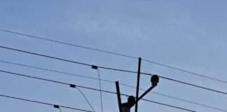 Lifeless body found hanging from electric transmission utility pole