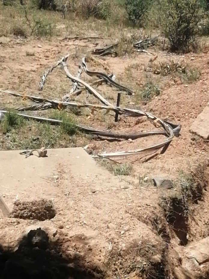 Cable thieves caught in the act in Kimberley