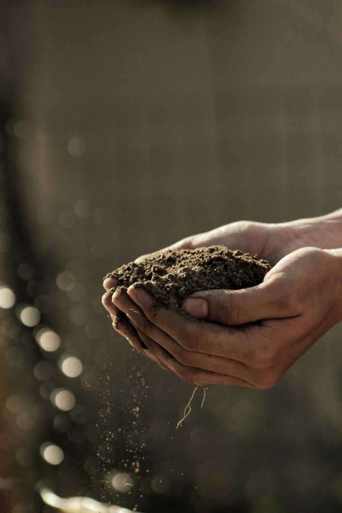 Small is Beautiful: The Power of science to Support small-scale solutions to Soil Erosion Small is Beautiful: The Power of science to Support small-scale solutions to Soil Erosion
