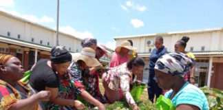 DO MORE FOUNDATION and RCL FOODS Empower uPhongolo Community Through Transformative Initiatives for Children and Parents in KwaZulu-Natal