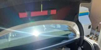 Police seize abalone worth more than R500 000 Police seize abalone worth more than R500 000