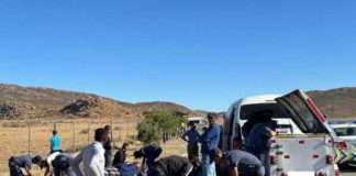 Operation Shanela actions net more than 300 suspects in the Northern Cape