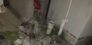 Suspect arrested for illegal possession of abalone Suspect arrested for illegal possession of abalone
