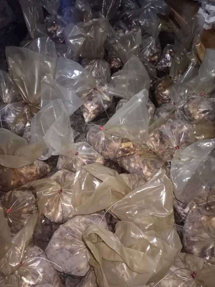 Suspect to appear in court for the possession of crayfish worth R500 000 Suspect to appear in court for the possession of crayfish worth R500 000