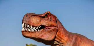The Dino Expo - Tyrannosaurus rex