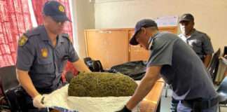 Springbok police intercepts drugs on a courier van