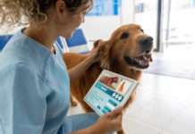 Artificial intelligence (AI) innovations are reshaping animal health diagnostics