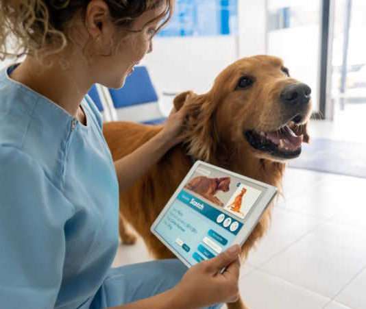 Artificial intelligence (AI) innovations are reshaping animal health diagnostics