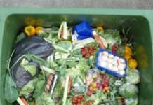 'Waste not, want not' is the key to buying, storing, using food and saving money
