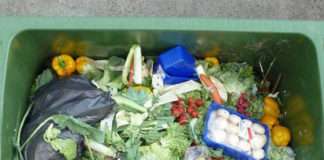 'Waste not, want not' is the key to buying, storing, using food and saving money
