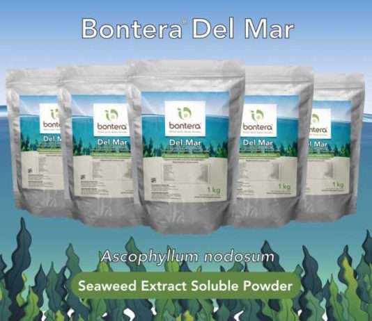 INTRODUCING DEL MAR - Redefining Growth with Water Soluble Seaweed Extract Powder for Healthier Crops