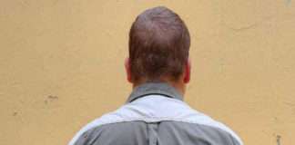 An alleged fraudster and motor vehicle thief nabbed after evading since last year