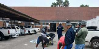 Police operation nabs two Somalian nationals with a consignment of Khat Police operation nabs two Somalian nationals with a consignment of Khat