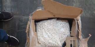 Truck driver faces possession of drugs charges, drugs worth over R3 Million seized Truck driver faces possession of drugs charges, drugs worth over R3 Million seized