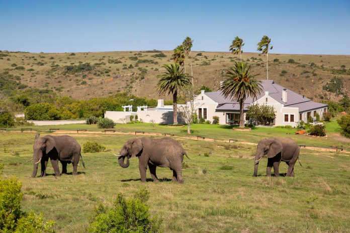 Lalibela Game Reserve Mills Manor