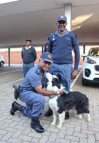 Potchefstroom K9 Handler and is dog, Erin, commended for exceptional service