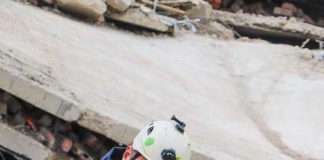 SAPS sniffer dogs lead search and rescue teams to survivor under rubble in George on day 5 of mission SAPS sniffer dogs lead search and rescue teams to survivor under rubble in George on day 5 of mission