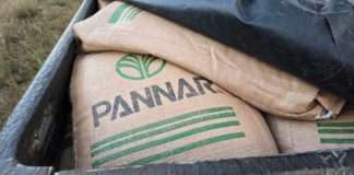 uspect to appear in court for possession of suspected stolen sunflower seeds uspect to appear in court for possession of suspected stolen sunflower seeds