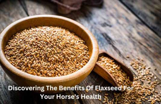 Benefits Of Flaxseed For Your Horse's Health