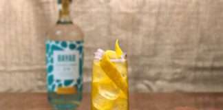 Exploring gin’s routes and recipes this World Gin Day