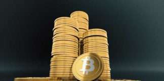 Crypto Bears in charge Crypto Bears in charge