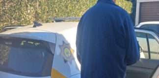 Abalone poaching syndicate arrested