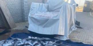 Operation Vala Umgodi team pounces on suspects with 150 snoek
