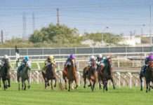 Thrills and excitement of horse race betting build up as Durban July draws closer
