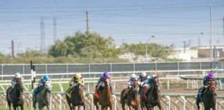 Thrills and excitement of horse race betting build up as Durban July draws closer Thrills and excitement of horse race betting build up as Durban July draws closer