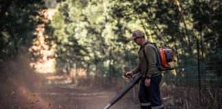 Wildfires are set to become commonplace Wildfires are set to become commonplace