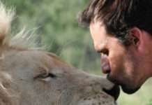 Lion Whisperer with Kevin Richardson