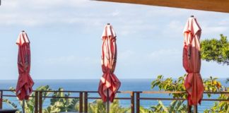 7 reasons you should visit Fish Eagle Café at Crocworld this winter
