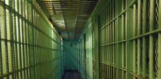 Rosedale fraudster facing time in jail for cyber fraud and money laundering