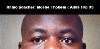Rhino poacher convicted and sentenced