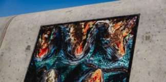 Annual Sea Point Promenade Photographic Exhibition opens for entries Annual Sea Point Promenade Photographic Exhibition opens for entries