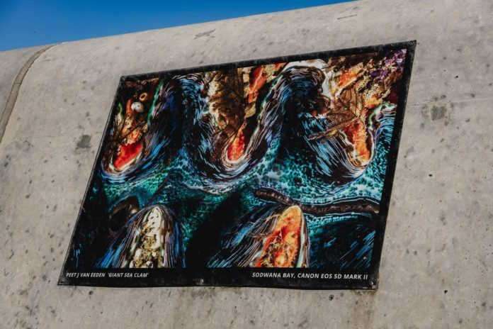 Annual Sea Point Promenade Photographic Exhibition opens for entries Annual Sea Point Promenade Photographic Exhibition opens for entries