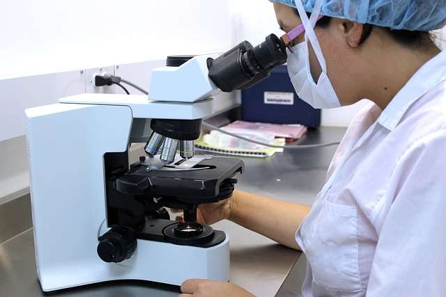 Understanding Paternity Testing Laws in South Africa: Your Rights and Responsibilities Understanding Paternity Testing Laws in South Africa: Your Rights and Responsibilities