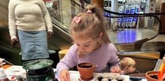 Camp Cool back at Cavendish Square this school holiday Camp Cool back at Cavendish Square this school holiday