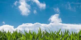 5 Farm attacks, and 1 farm murder in South Africa, 1-15 September 2024