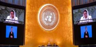 DCO Secretary-General commends Global Digital Compact at Summit of the Future
