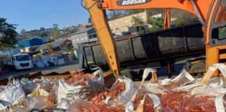 Police recover stolen copper worth approximately R20 million in Queensburgh