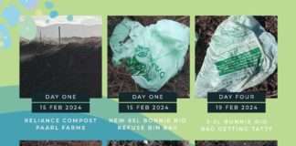 Compostable Bags: The Link to More Effective Recycling