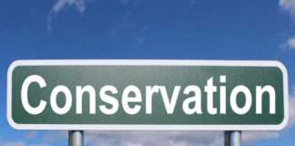 4 Benefits of Using a Greywater Pump for Conservation