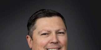 Risk mitigation and protection: cyber-resilience and cyber-insurance